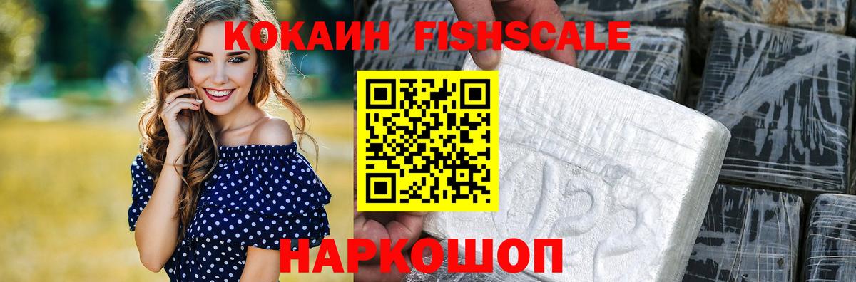 Cocaine Fish Scale  COCAIN  Вход с VPN  Котовск  Cocaine VHQ 