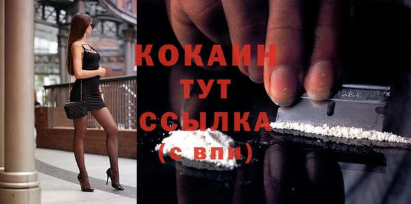 стафф Новозыбков