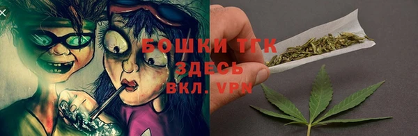стафф Новозыбков