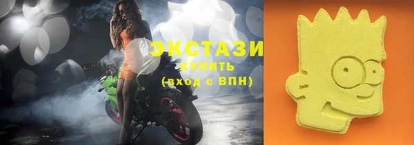гашик Новодвинск