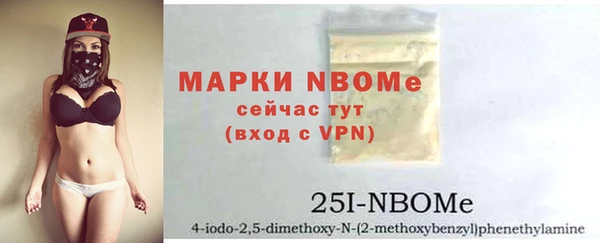 гашик Новодвинск