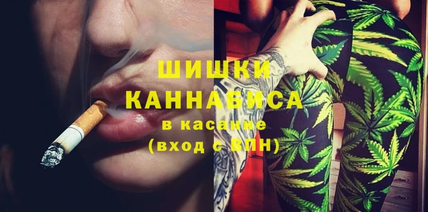 стафф Новозыбков
