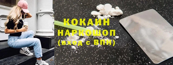 стафф Новозыбков
