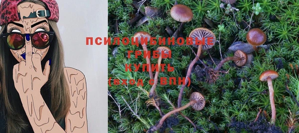 амф Болохово
