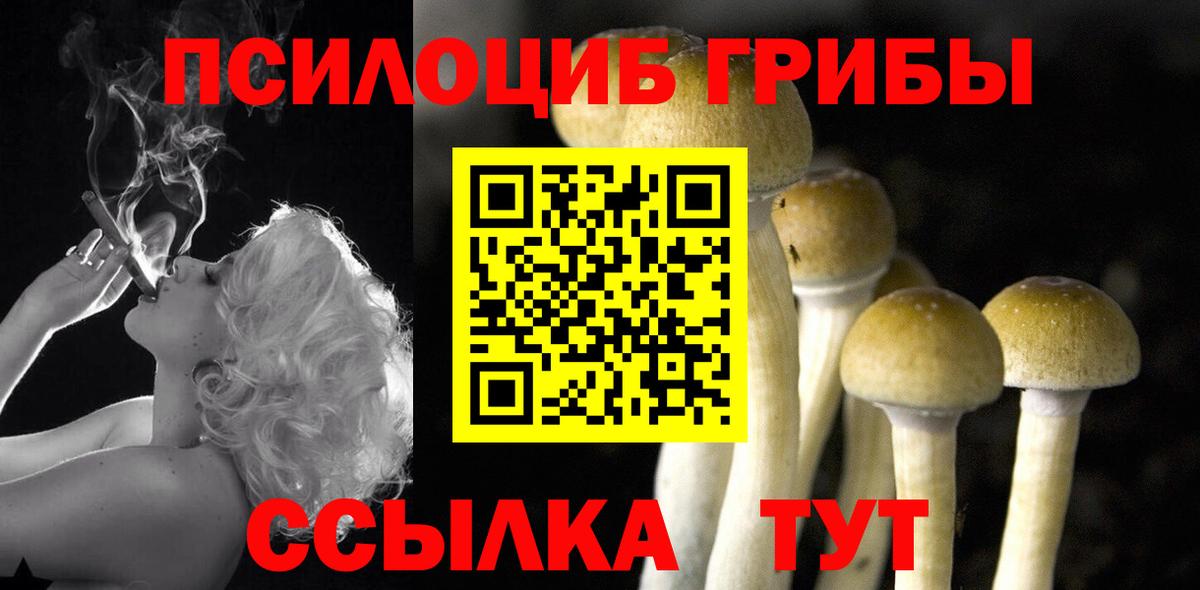 Галлюциногенные грибы GOLDEN TEACHER Котовск